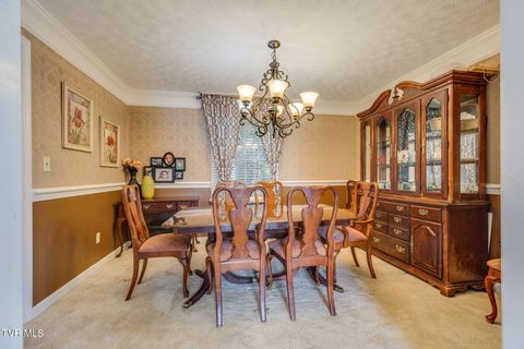 Tiny photo for 1201 Meadow Lane, Kingsport, TN 37663 (MLS # 9986395)