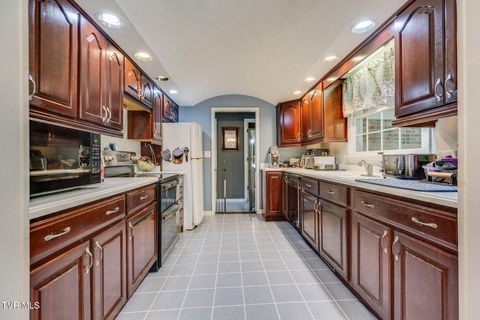 Tiny photo for 1201 Meadow Lane, Kingsport, TN 37663 (MLS # 9986395)