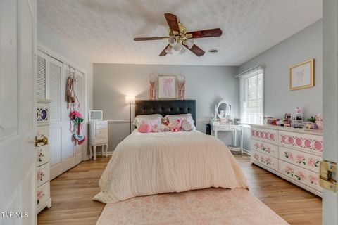 Tiny photo for 1201 Meadow Lane, Kingsport, TN 37663 (MLS # 9986395)
