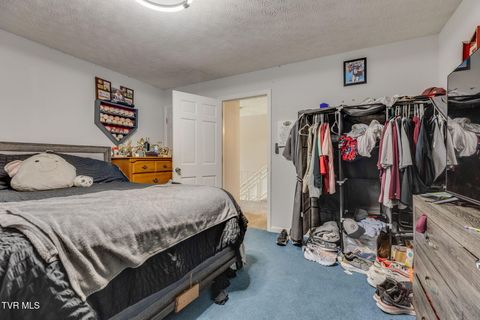 Tiny photo for 1201 Meadow Lane, Kingsport, TN 37663 (MLS # 9986395)