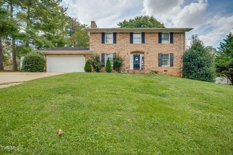 Tiny photo for 1201 Meadow Lane, Kingsport, TN 37663 (MLS # 9986395)