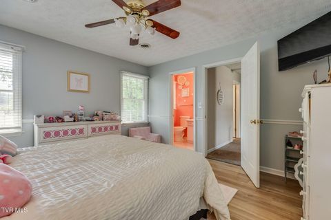 Tiny photo for 1201 Meadow Lane, Kingsport, TN 37663 (MLS # 9986395)