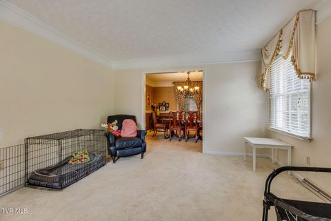 Tiny photo for 1201 Meadow Lane, Kingsport, TN 37663 (MLS # 9986395)