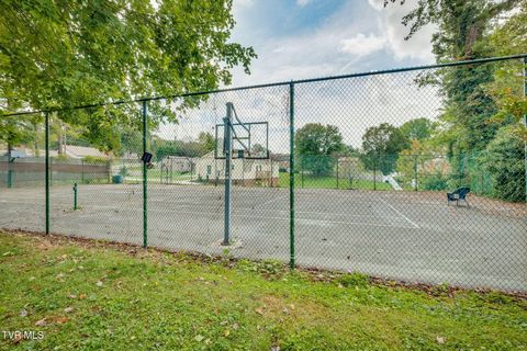 Tiny photo for 1201 Meadow Lane, Kingsport, TN 37663 (MLS # 9986395)