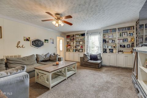 Tiny photo for 1201 Meadow Lane, Kingsport, TN 37663 (MLS # 9986395)