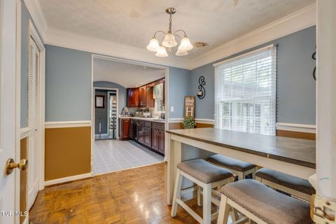 Tiny photo for 1201 Meadow Lane, Kingsport, TN 37663 (MLS # 9986395)