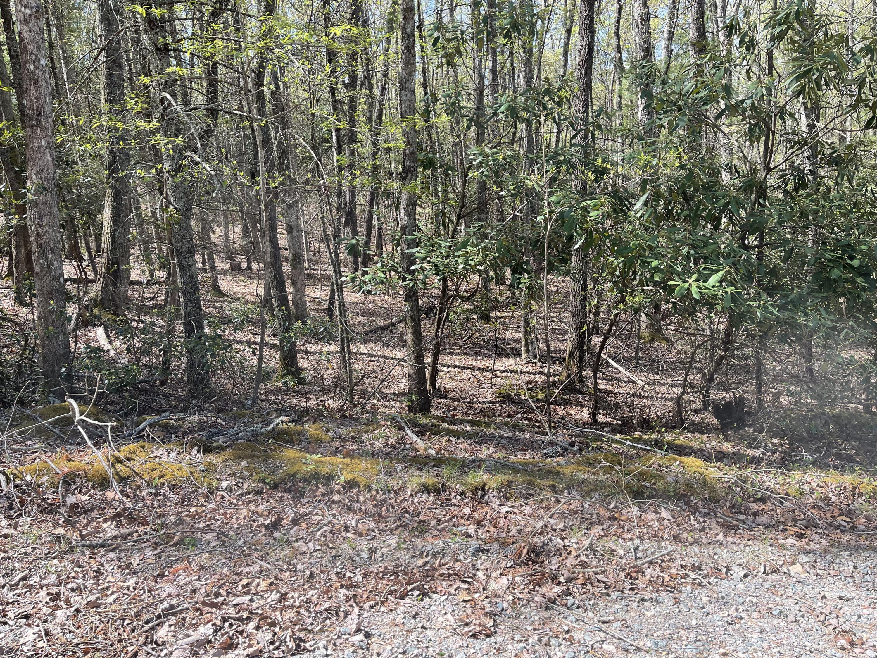 00 Hiddenwood Drive, Mountain City, Tennessee image 1