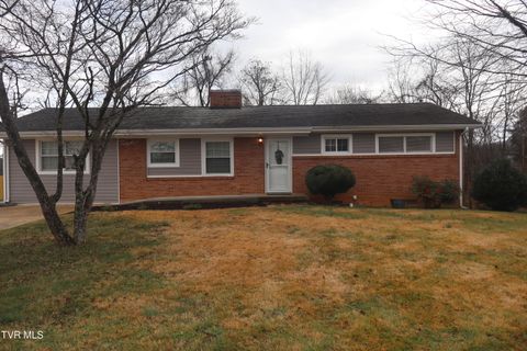 Photo of 1207 Woodside Drive, Johnson City, TN 37604 (MLS # 9988732)