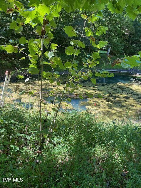 Tbd Hurricane Road, Jonesville, Virginia image 4