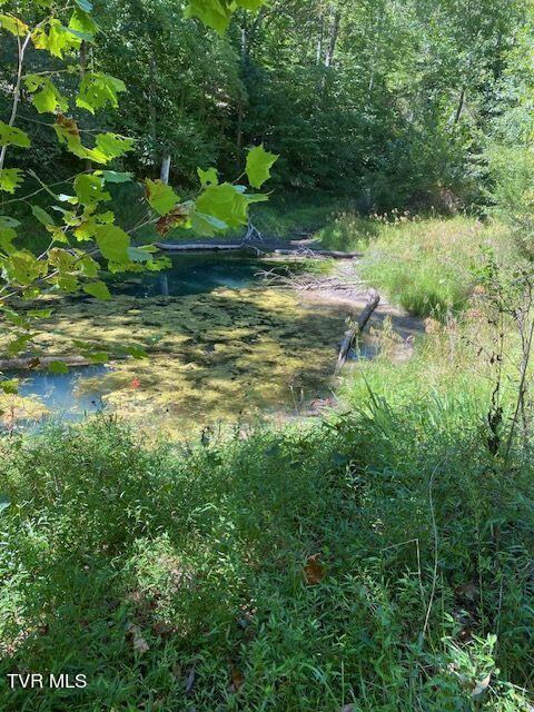 Tbd Hurricane Road, Jonesville, Virginia image 5
