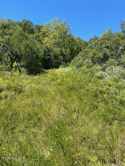 Tbd Hurricane Road, Jonesville, Virginia image 2