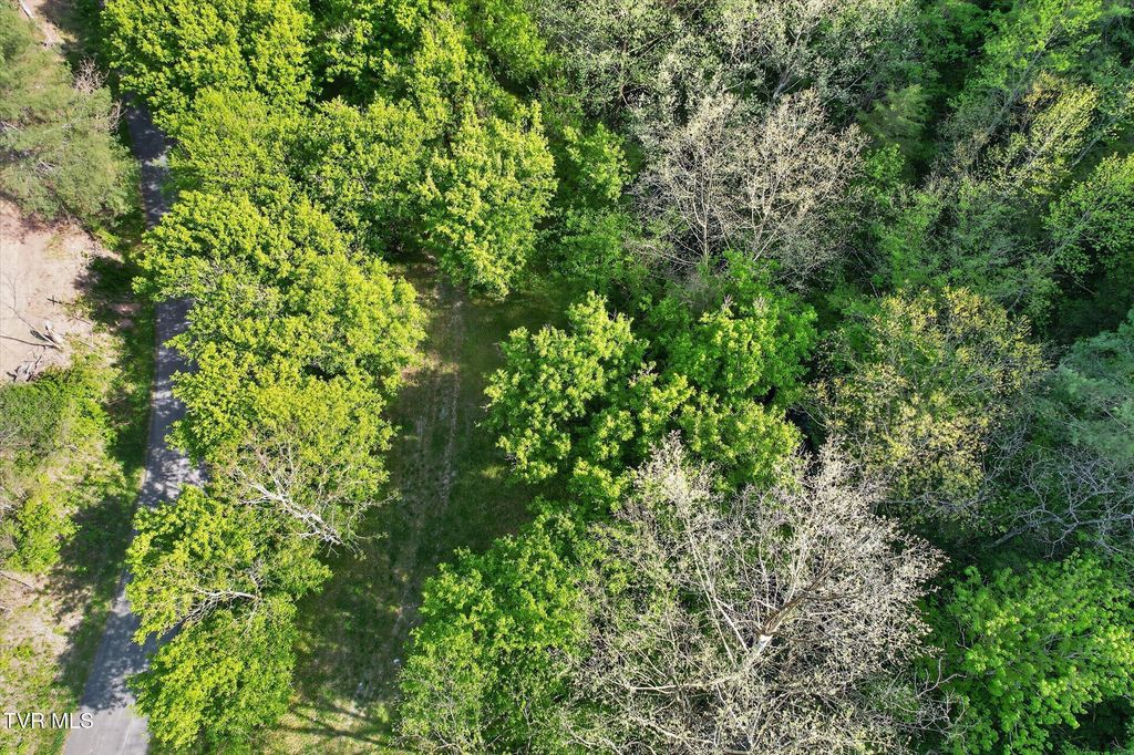 Photo of Tbd Mill Creek Road, Fort Blackmore, VA 24250 (MLS # 9994456)