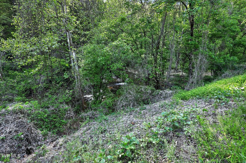 Photo of Tbd Mill Creek Road, Fort Blackmore, VA 24250 (MLS # 9994456)