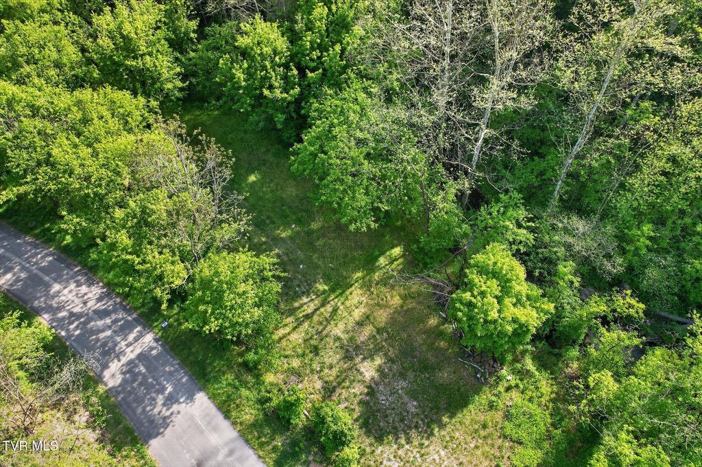 Photo of Tbd Mill Creek Road, Fort Blackmore, VA 24250 (MLS # 9994456)