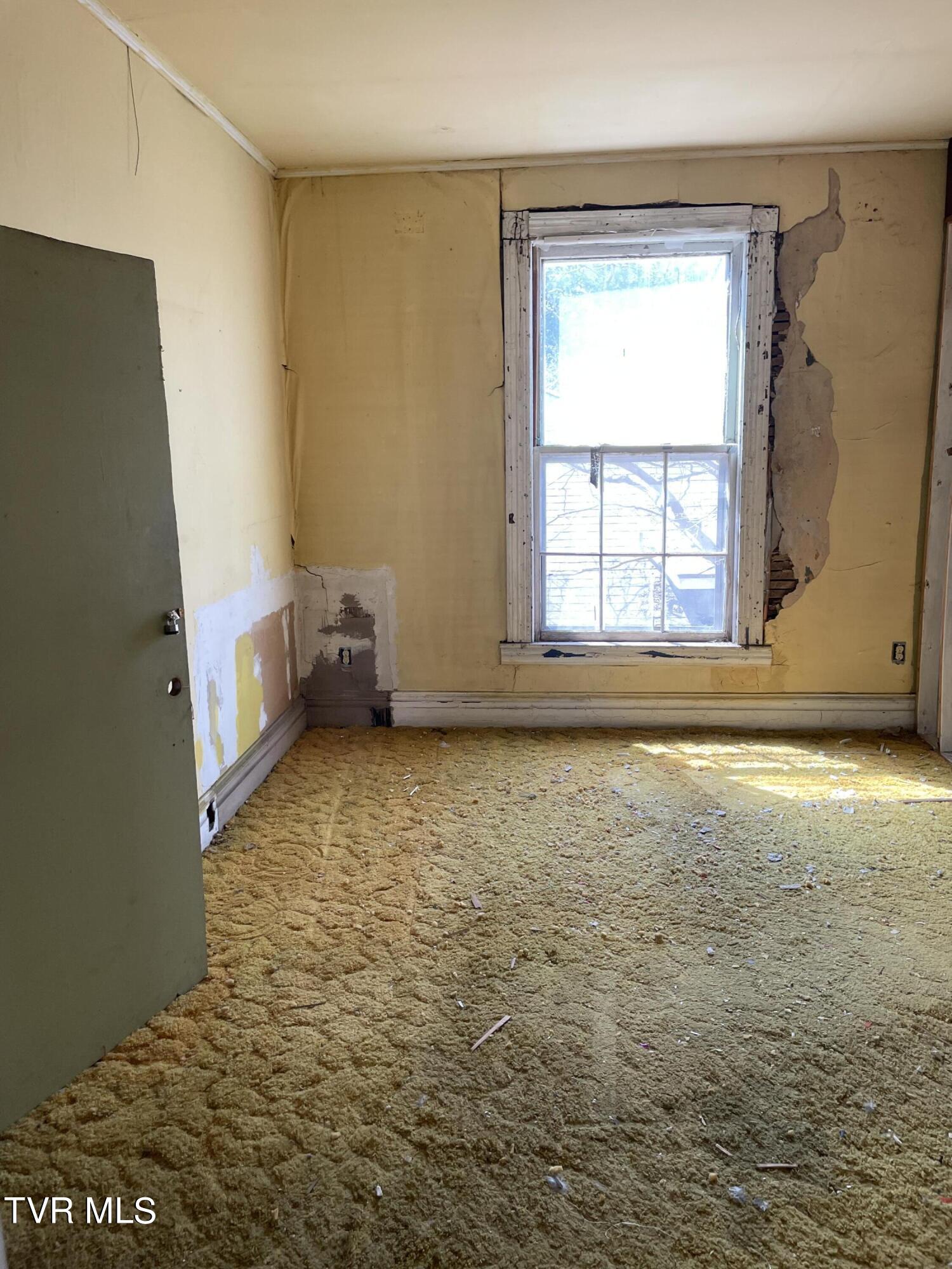 421 Locust Street, Johnson City, Tennessee image 19