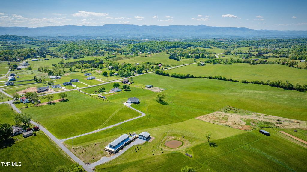 Photo of 1600 Mary Lamons Road, Afton, TN 37616 (MLS # 9994271)