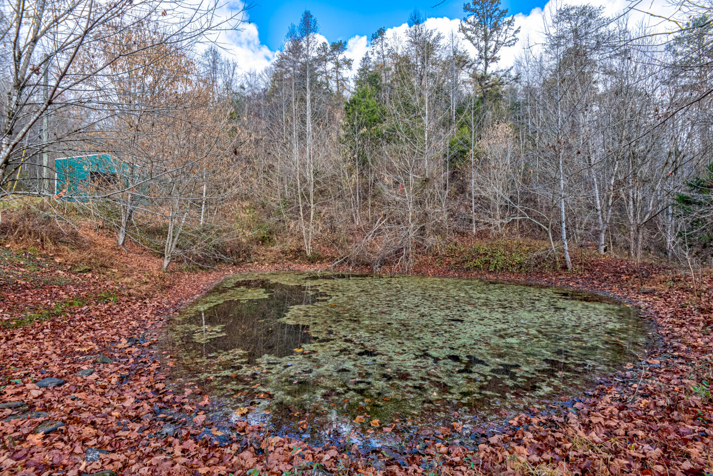 Tbd Bill Hicks Road, Rogersville, Tennessee image 5