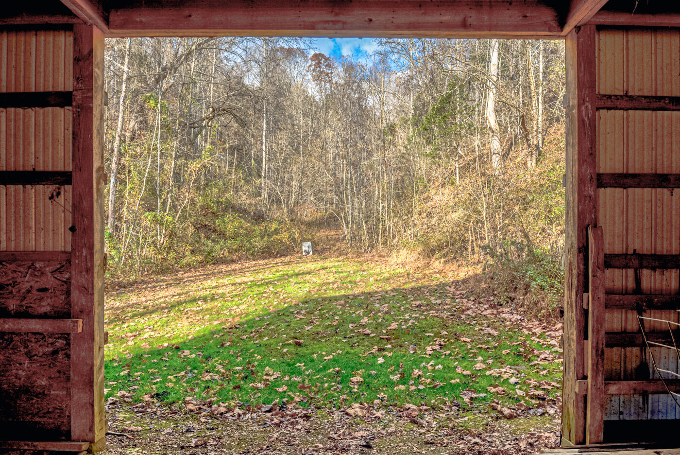 Tbd Bill Hicks Road, Rogersville, Tennessee image 14