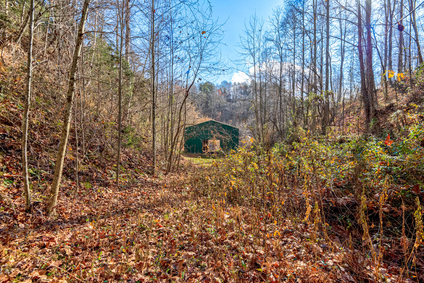 Tbd Bill Hicks Road, Rogersville, Tennessee image 30