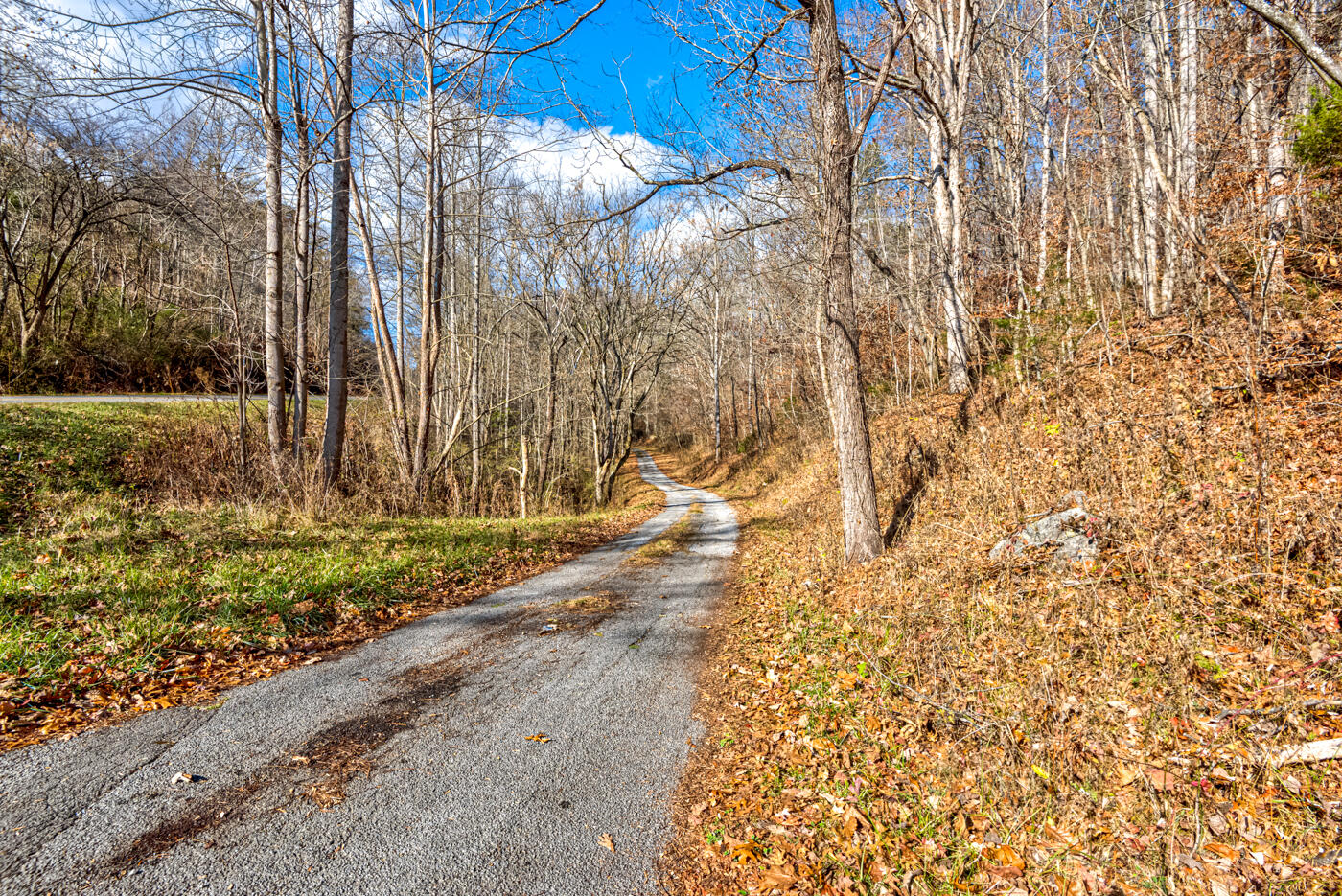 Tbd Bill Hicks Road, Rogersville, Tennessee image 39