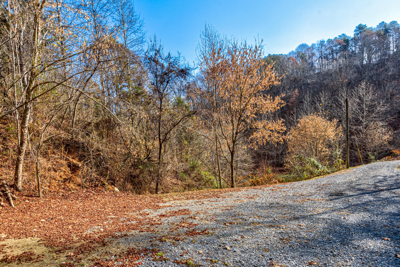 Tbd Bill Hicks Road, Rogersville, Tennessee image 32