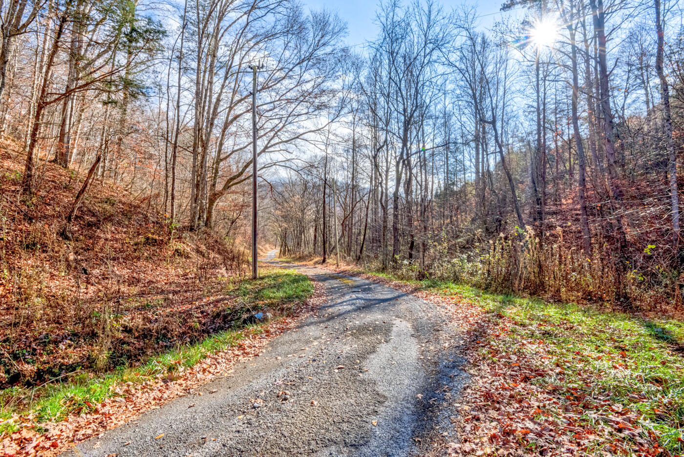 Tbd Bill Hicks Road, Rogersville, Tennessee image 42