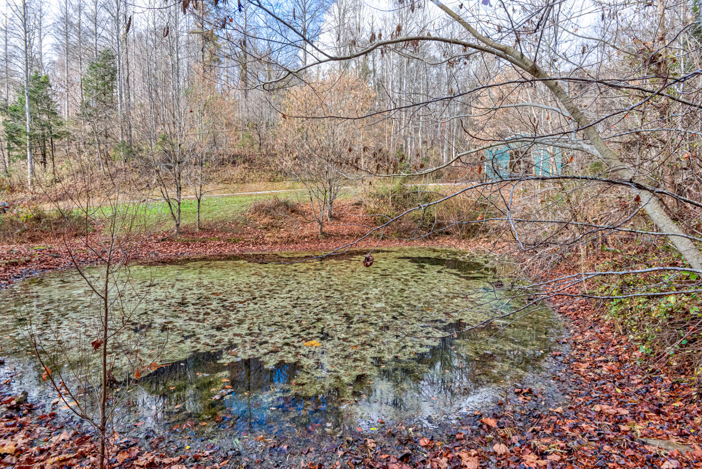 Tbd Bill Hicks Road, Rogersville, Tennessee image 3