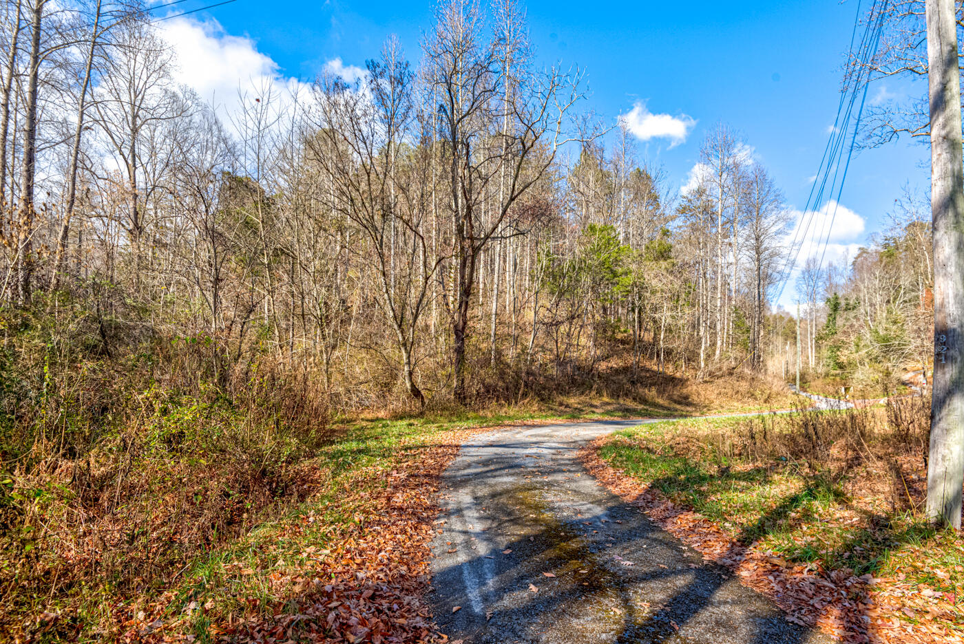 Tbd Bill Hicks Road, Rogersville, Tennessee image 41