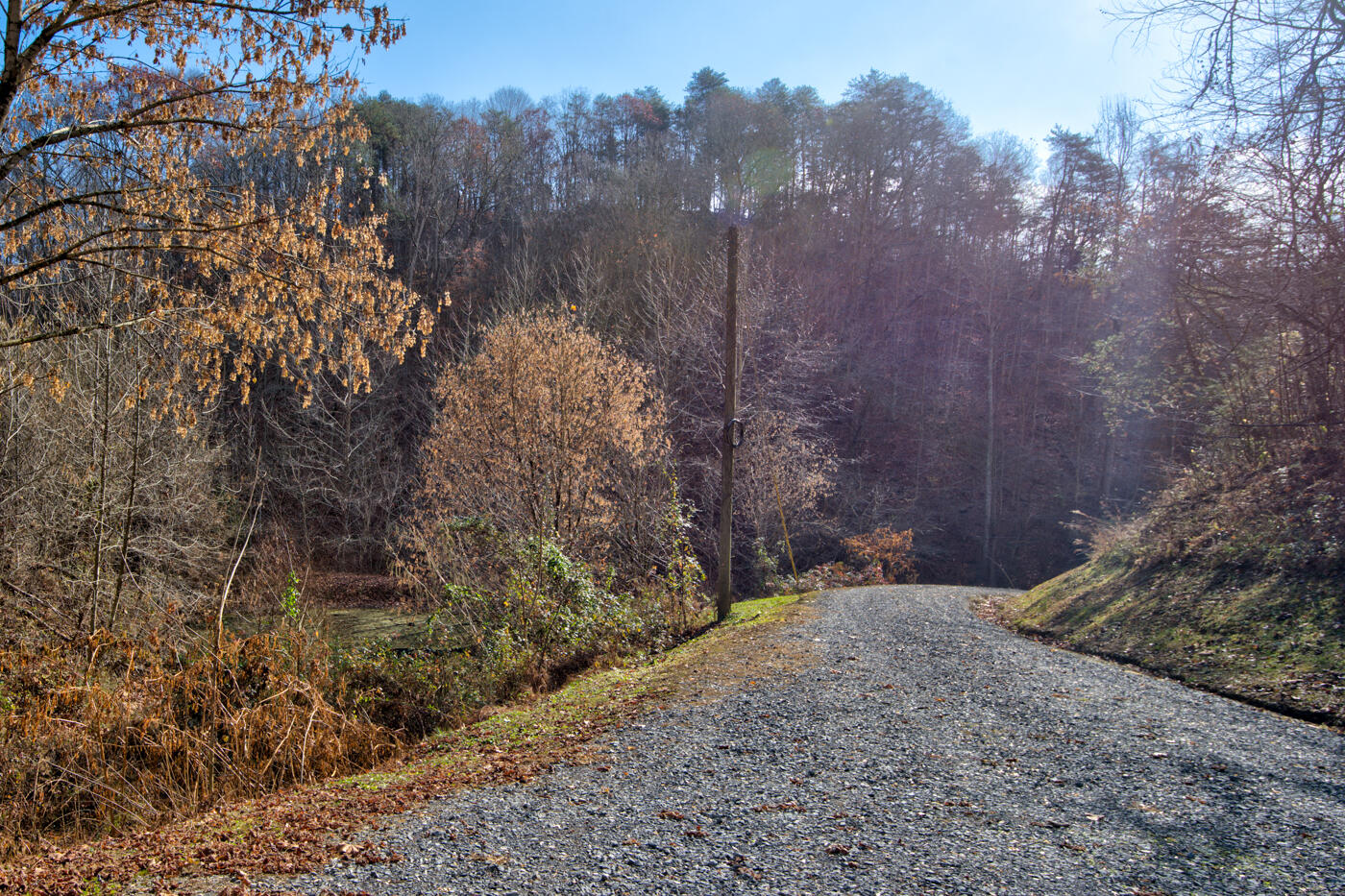 Tbd Bill Hicks Road, Rogersville, Tennessee image 36