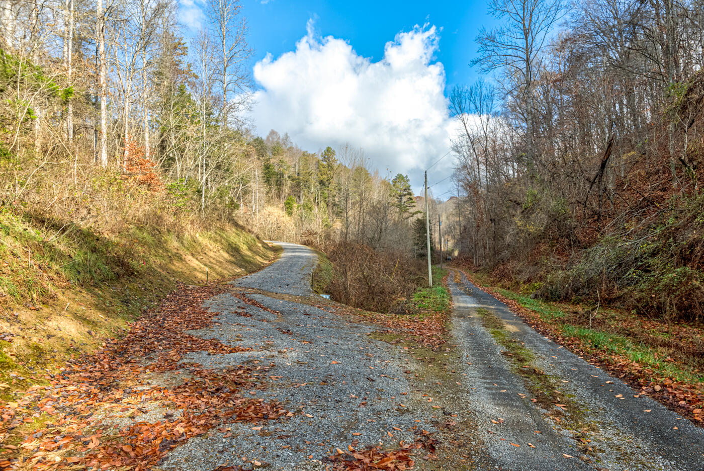 Tbd Bill Hicks Road, Rogersville, Tennessee image 10