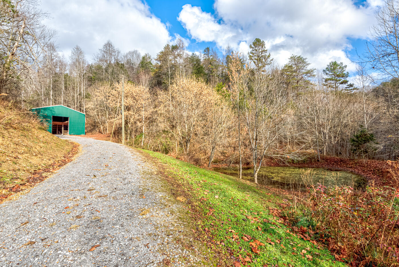 Tbd Bill Hicks Road, Rogersville, Tennessee image 2
