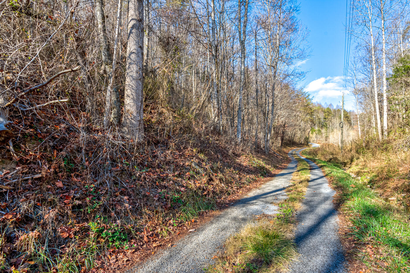 Tbd Bill Hicks Road, Rogersville, Tennessee image 43