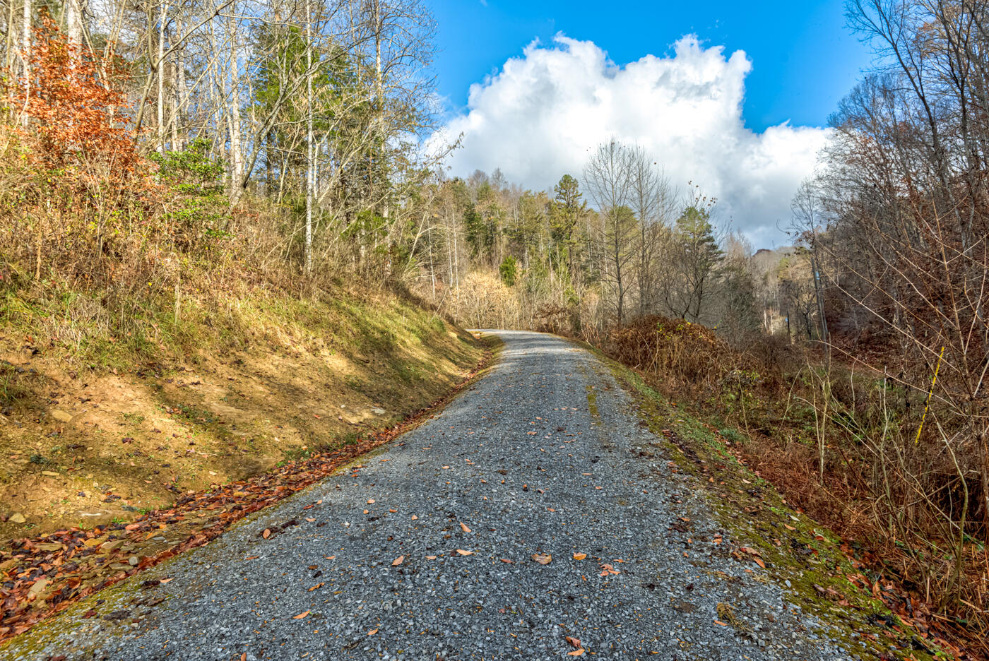 Tbd Bill Hicks Road, Rogersville, Tennessee image 9