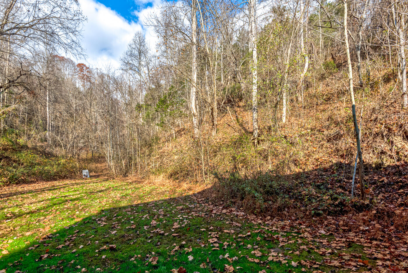 Tbd Bill Hicks Road, Rogersville, Tennessee image 23