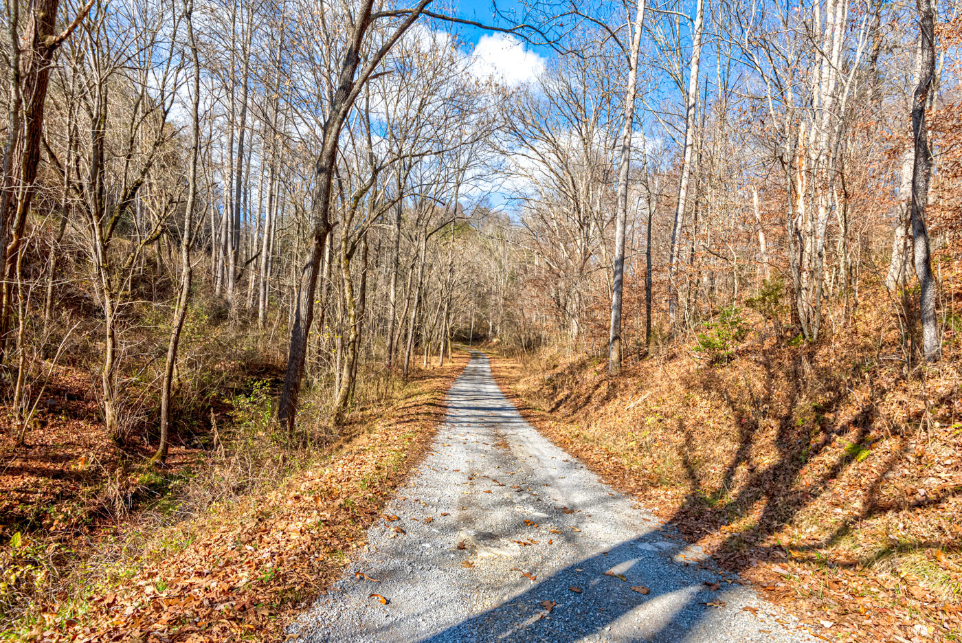 Tbd Bill Hicks Road, Rogersville, Tennessee image 40