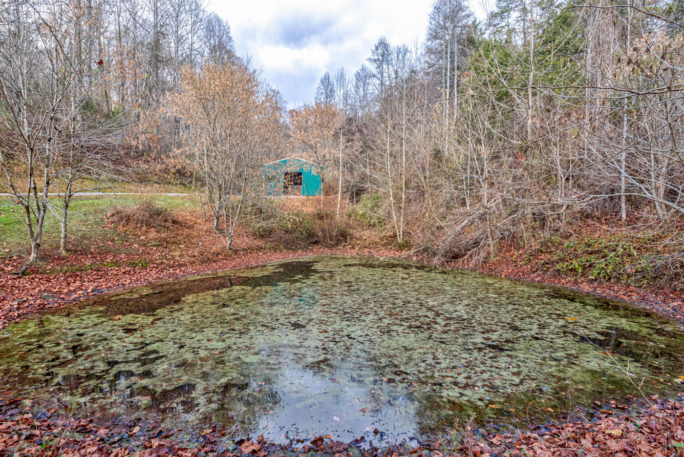 Tbd Bill Hicks Road, Rogersville, Tennessee image 4