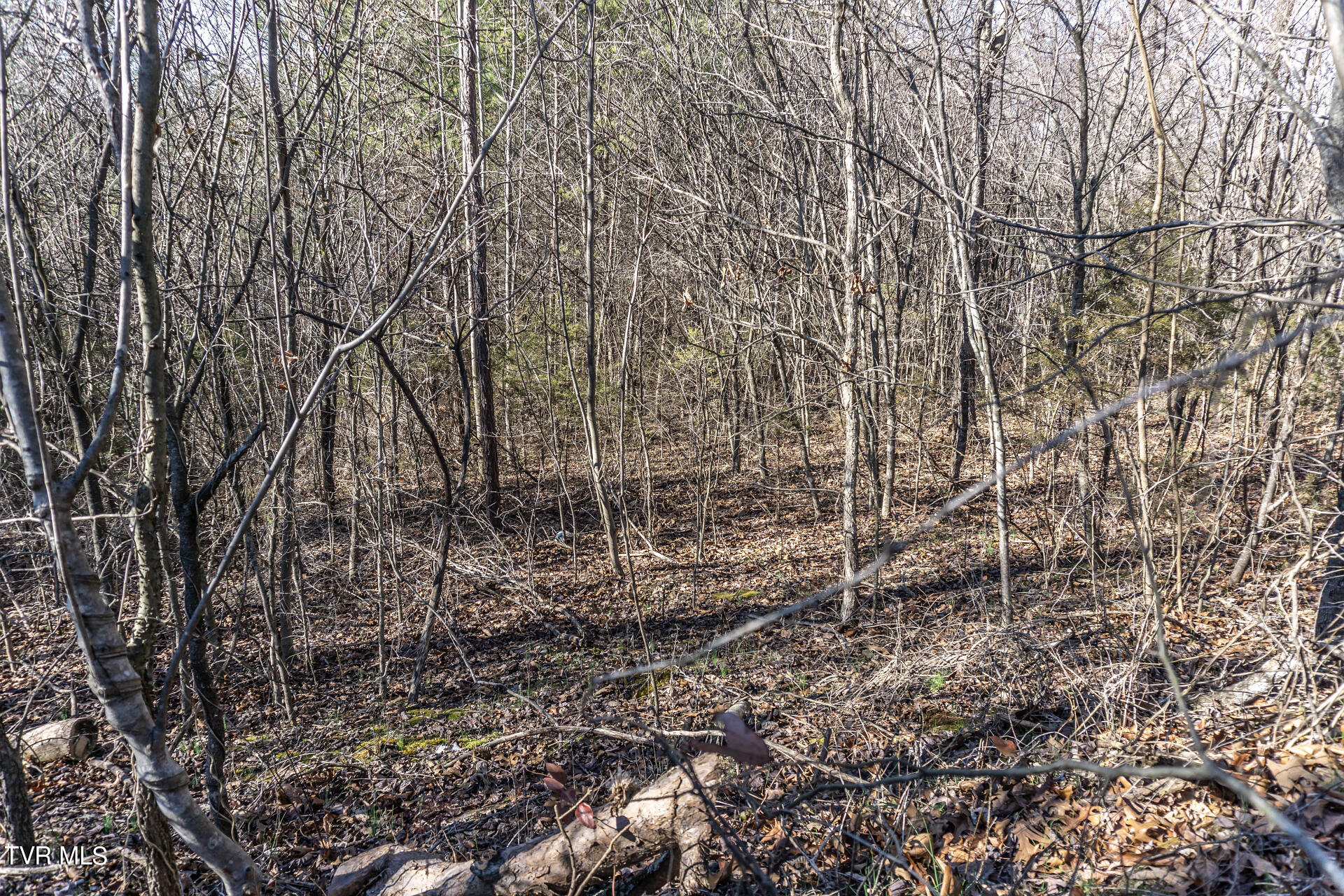 Lot 22a West Drive, Parrottsville, Tennessee image 27
