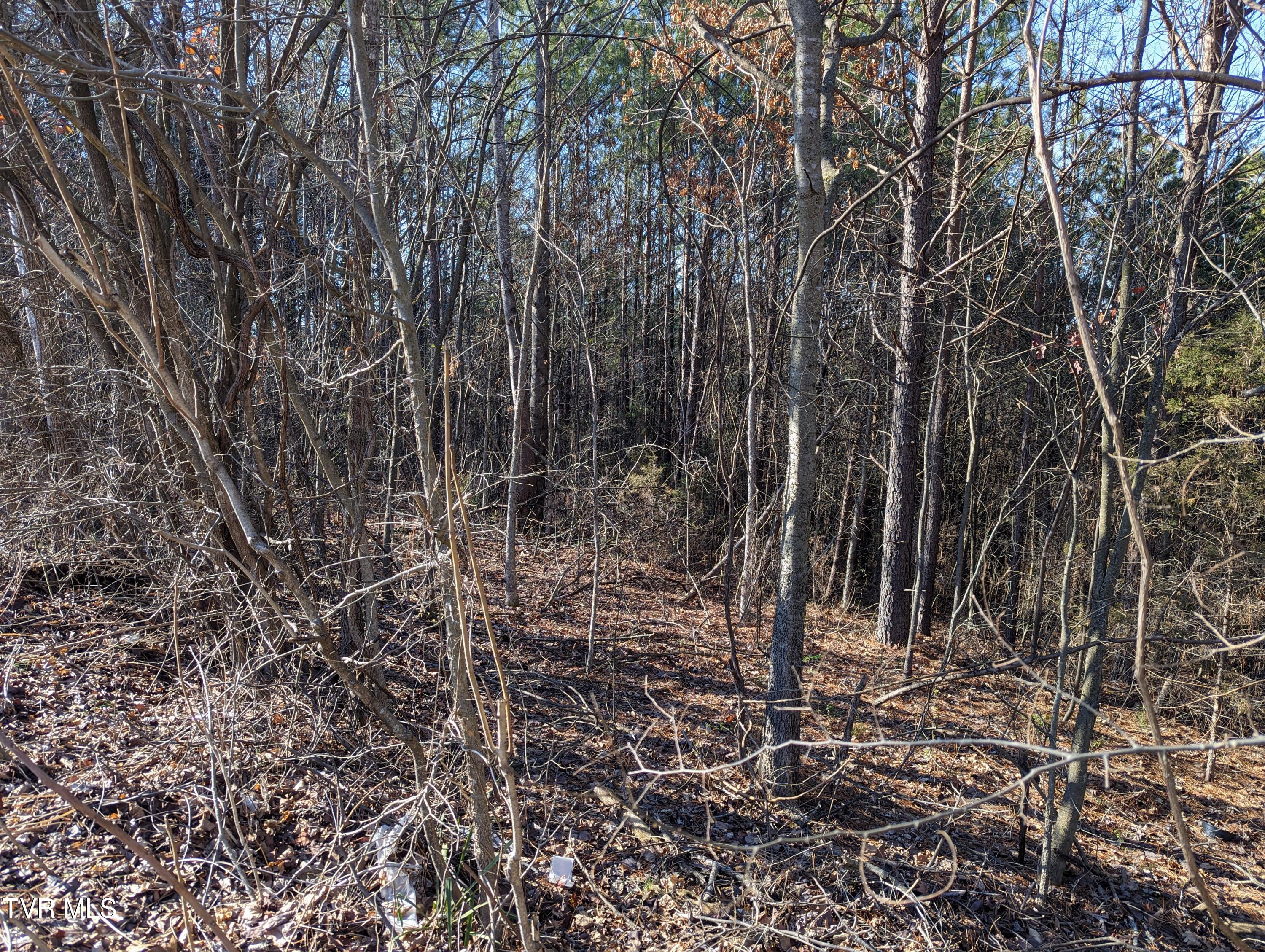 Lot 22a West Drive, Parrottsville, Tennessee image 4