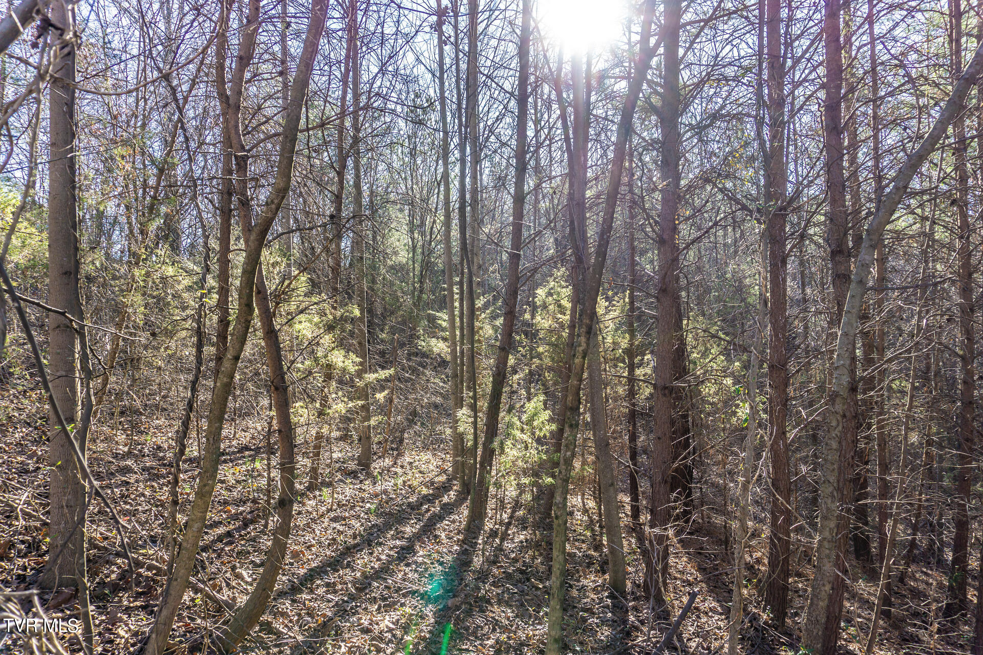 Lot 22a West Drive, Parrottsville, Tennessee image 29