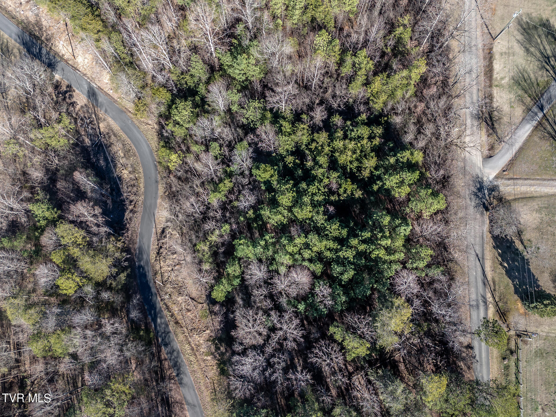 Lot 22a West Drive, Parrottsville, Tennessee image 25