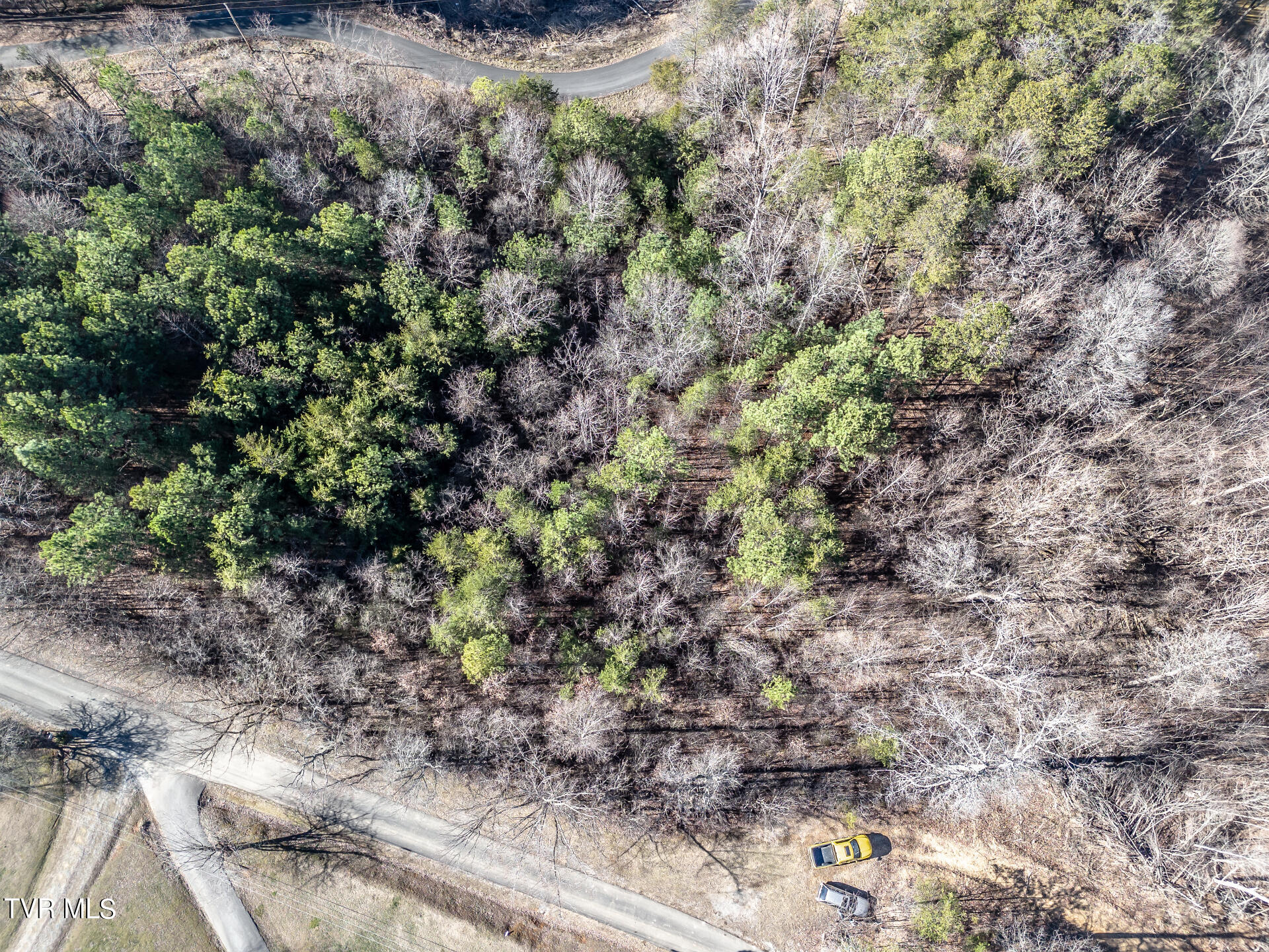 Lot 22a West Drive, Parrottsville, Tennessee image 24