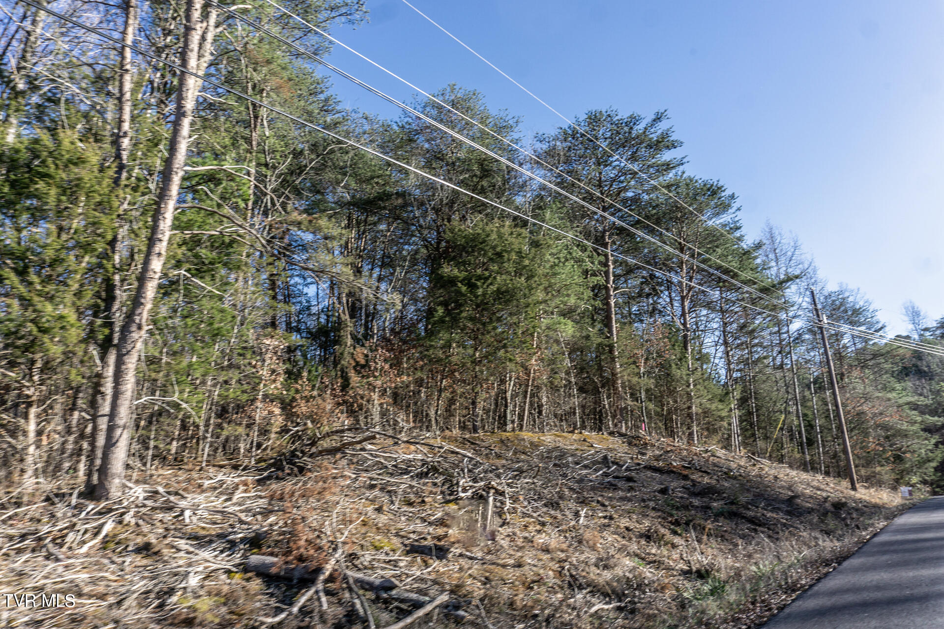 Lot 22a West Drive, Parrottsville, Tennessee image 32