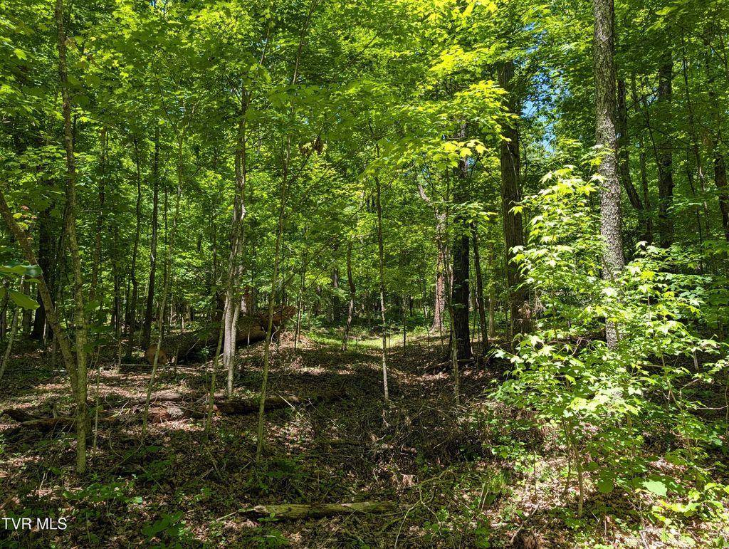 Photo of Tbd Carters Valley Loop #064 096.01, Rogersville, TN 37857 (MLS # 9995165)