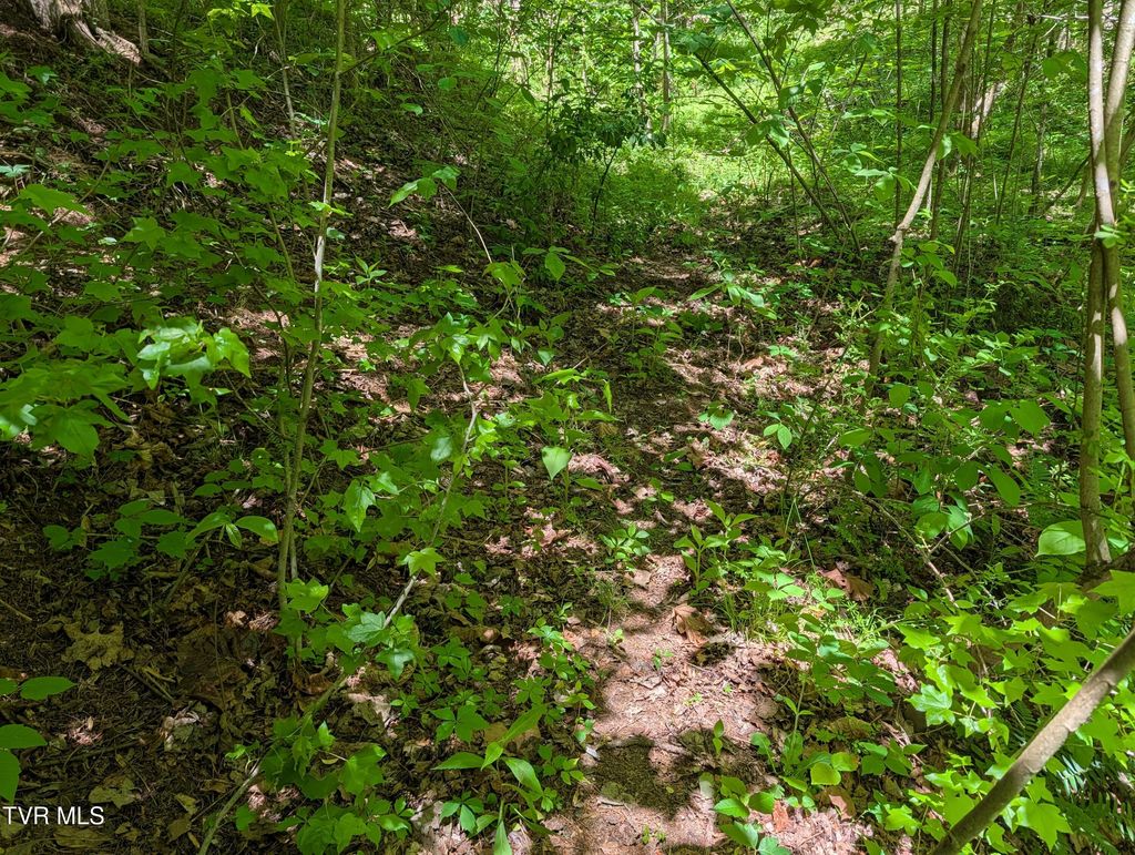 Photo of Tbd Carters Valley Loop #064 096.01, Rogersville, TN 37857 (MLS # 9995165)