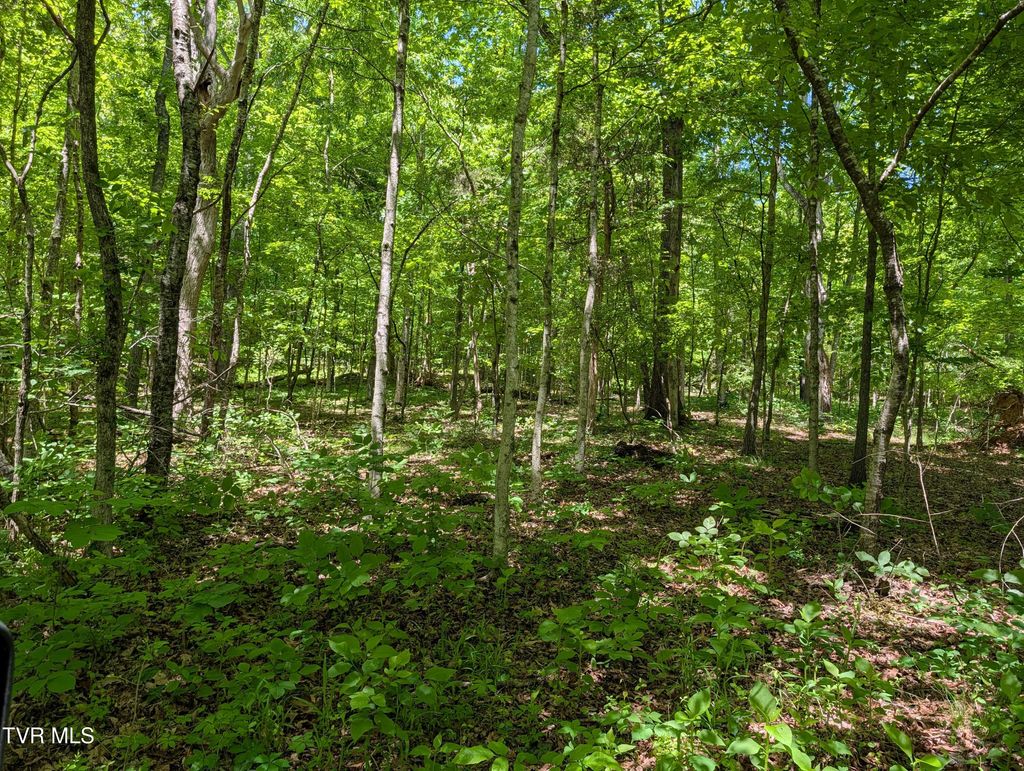 Photo of Tbd Carters Valley Loop #064 096.01, Rogersville, TN 37857 (MLS # 9995165)
