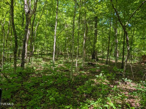 Photo of Tbd Carters Valley Loop #064 096.01, Rogersville, TN 37857 (MLS # 9995165)
