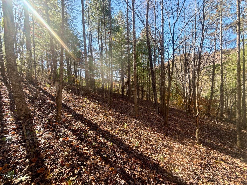 Photo of 11 State Highway 37 (Hwy 19e), Hampton, TN 37658 (MLS # 9990626)