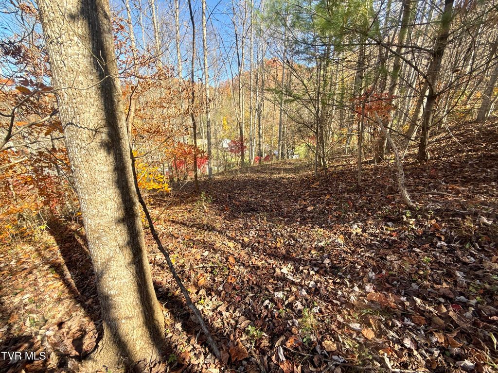 Photo of 11 State Highway 37 (Hwy 19e), Hampton, TN 37658 (MLS # 9990626)