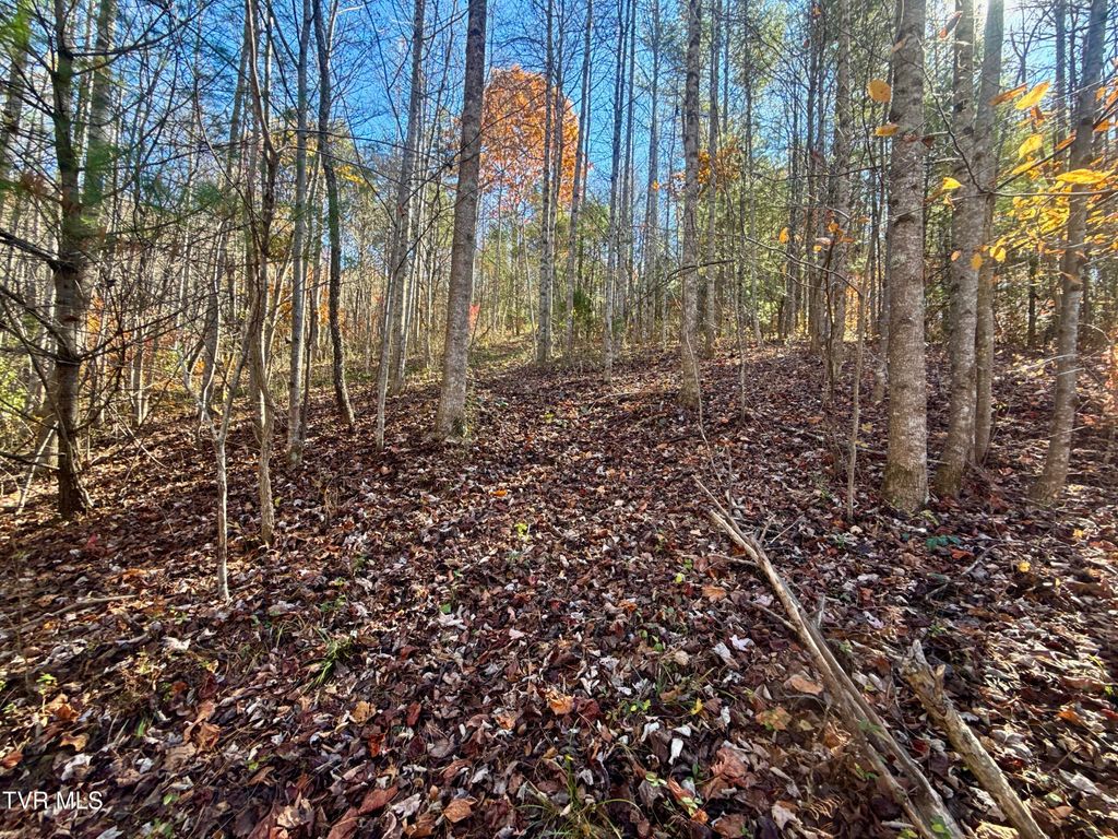 Photo of 11 State Highway 37 (Hwy 19e), Hampton, TN 37658 (MLS # 9990626)