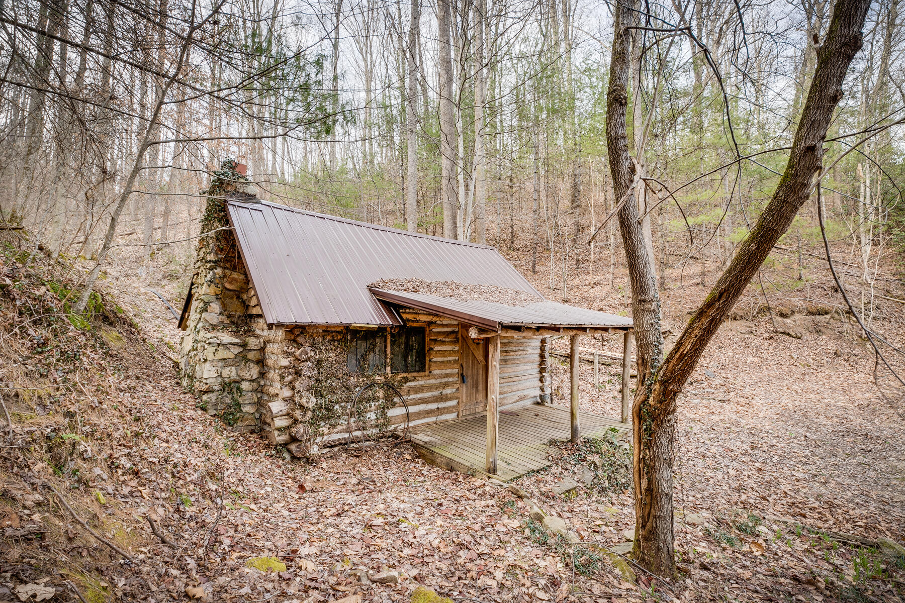 Tbd Harris Hollow Road, Erwin, Tennessee image 2